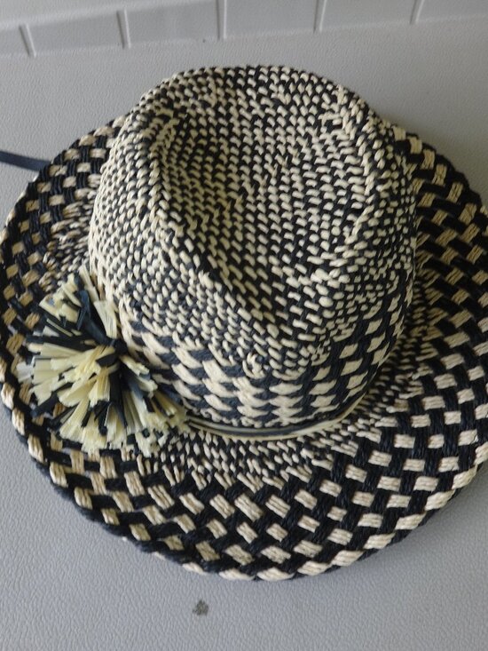 Kathy Jeanne Fedora straw hat, black and natural weaved, 3\